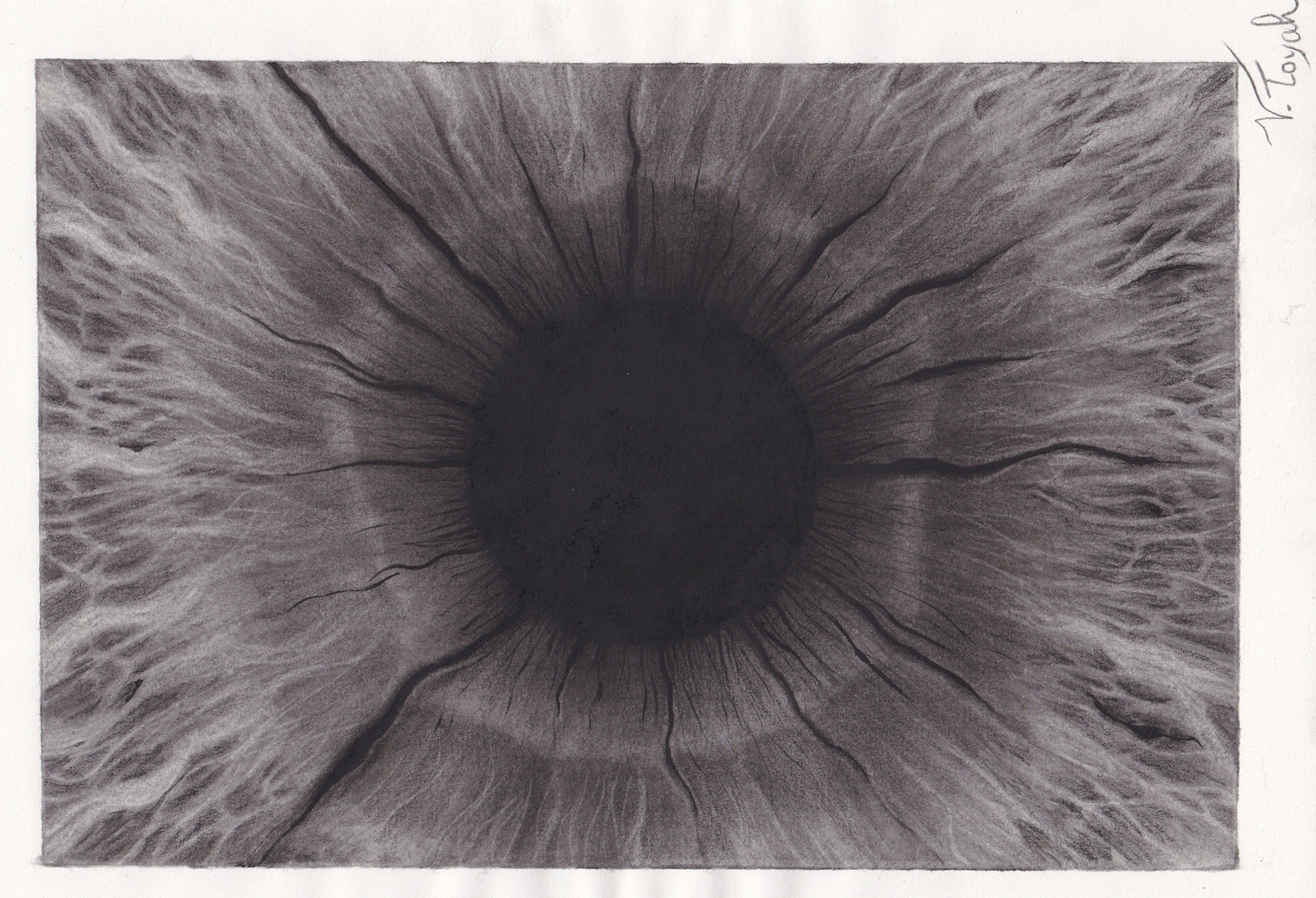 Window to the Soul (framed)