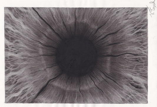 Window to the Soul (framed)